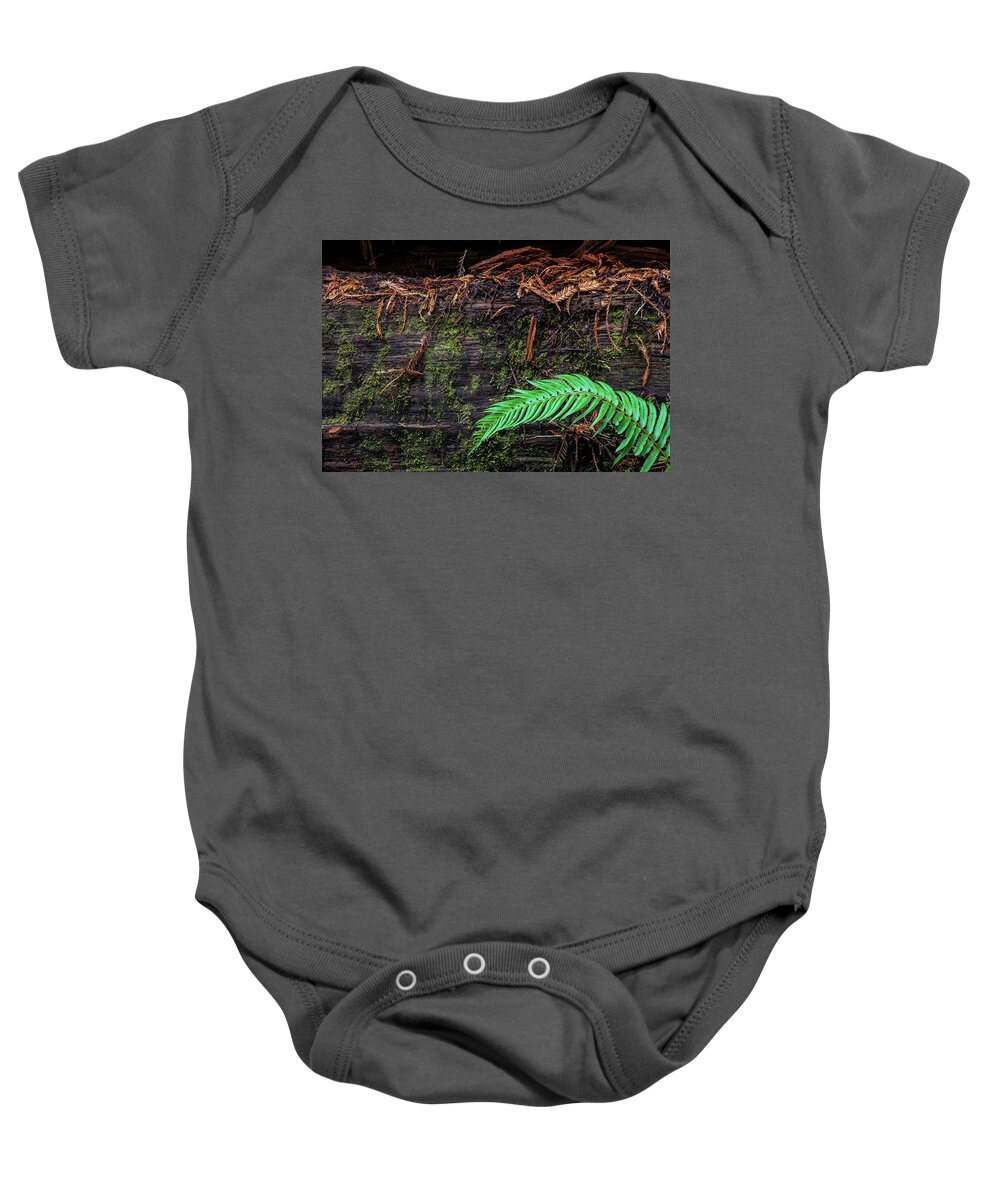 Big Tree Grove Baby Onesie featuring the photograph My Friend Fern by Peter Tellone