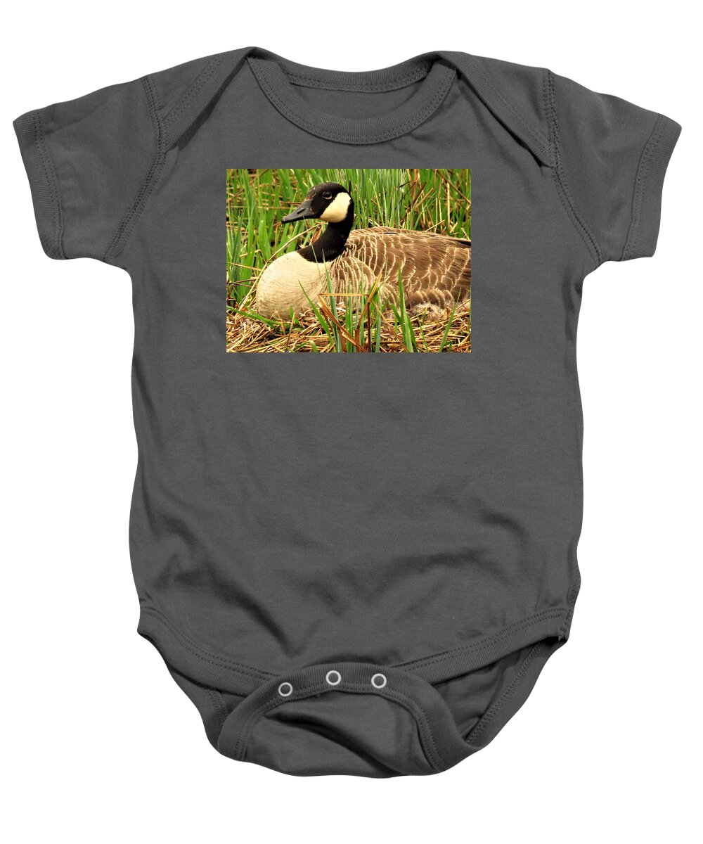 Goose Baby Onesie featuring the photograph Nesting Canada Goose by Lori Frisch