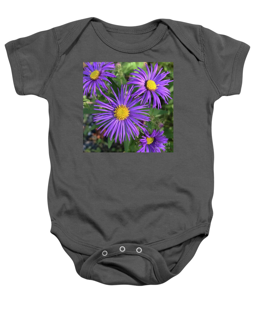 New England Aster Baby Onesie featuring the photograph New England Aster 17 by Amy E Fraser