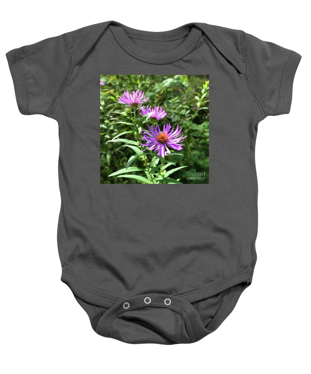 New England Aster Baby Onesie featuring the photograph New England Aster 4 by Amy E Fraser