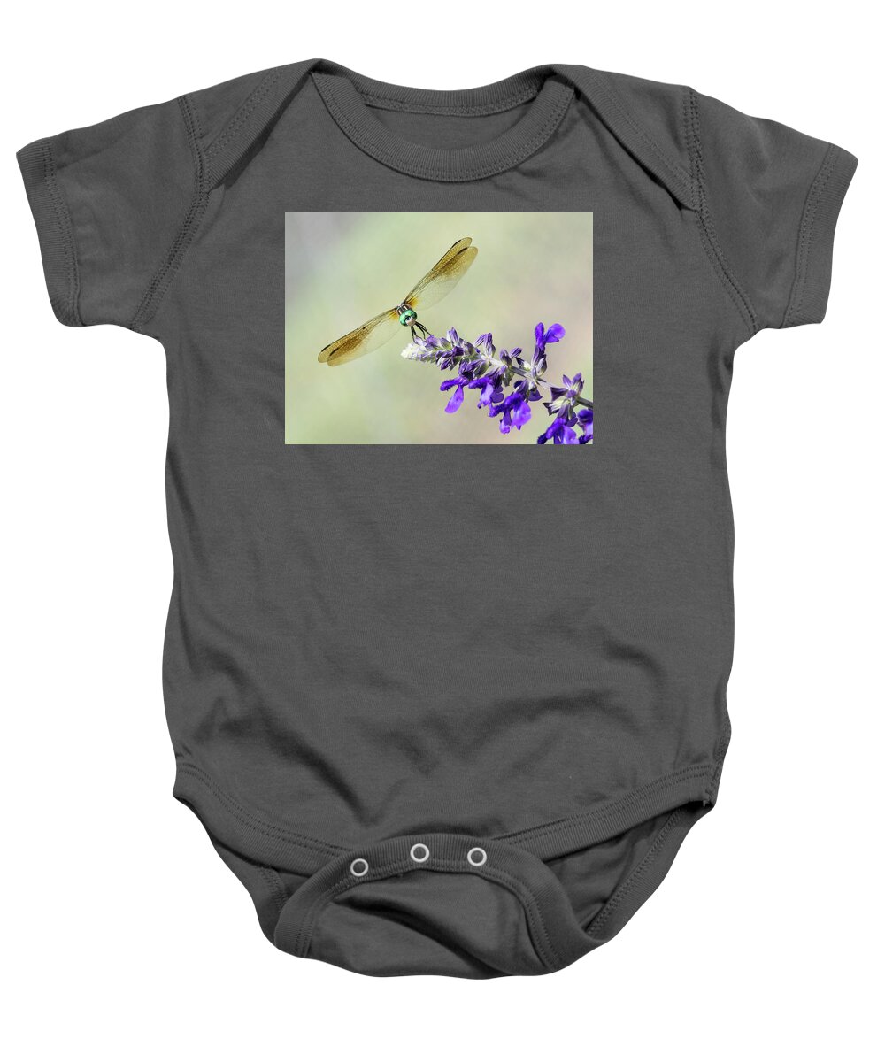Dragonfly Baby Onesie featuring the photograph Nose to Nose by Alex Lapidus