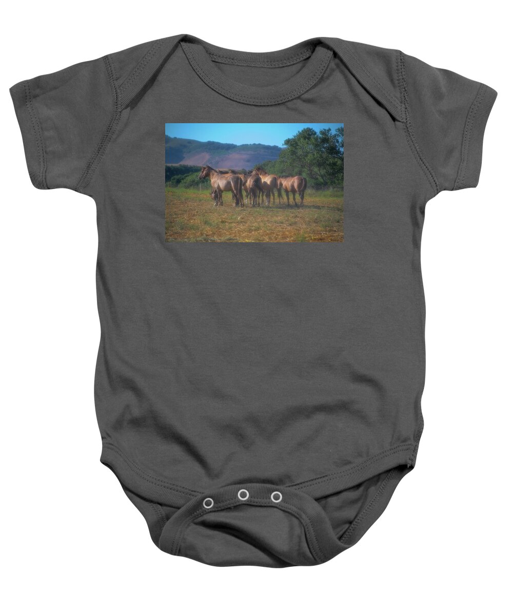 Horse Baby Onesie featuring the photograph On the horizon by Patricia Dennis