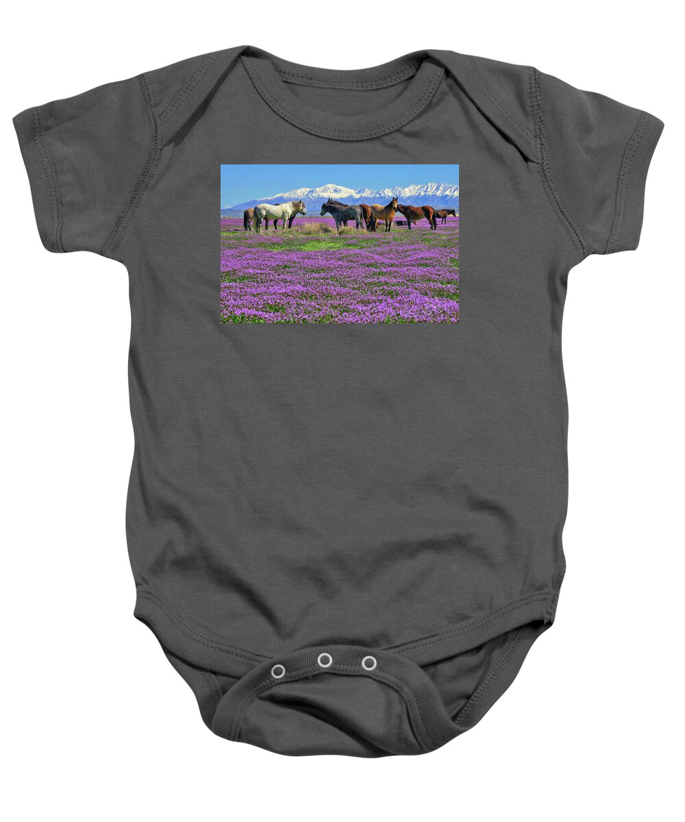 Onaqui Wild Horses Baby Onesie featuring the photograph Onaqui Spring by Greg Norrell