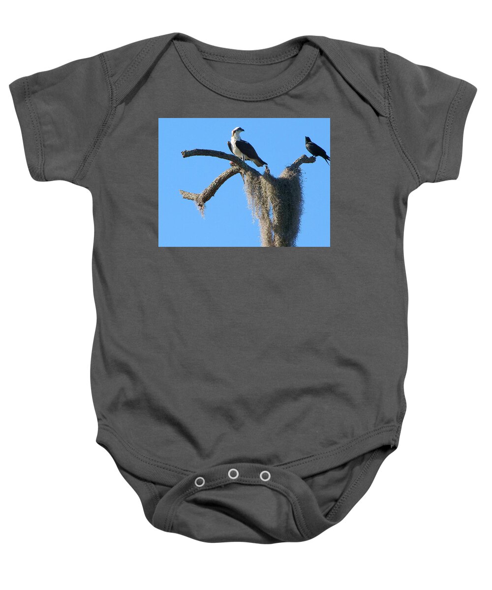 Osprey Baby Onesie featuring the photograph Osprey and Crow by Christopher Mercer