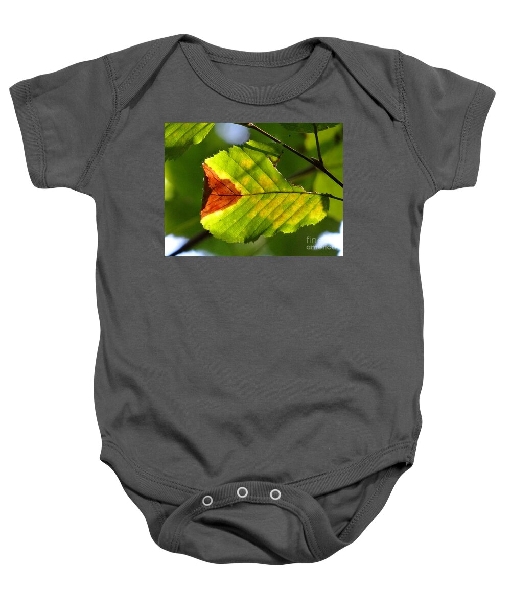 Leaf Baby Onesie featuring the photograph Outstanding leaf by Karin Ravasio
