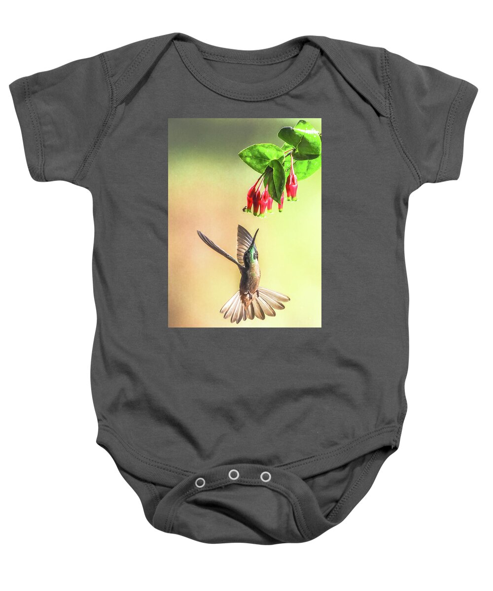 Cory Baby Onesie featuring the photograph Overhead by Tom and Pat Cory