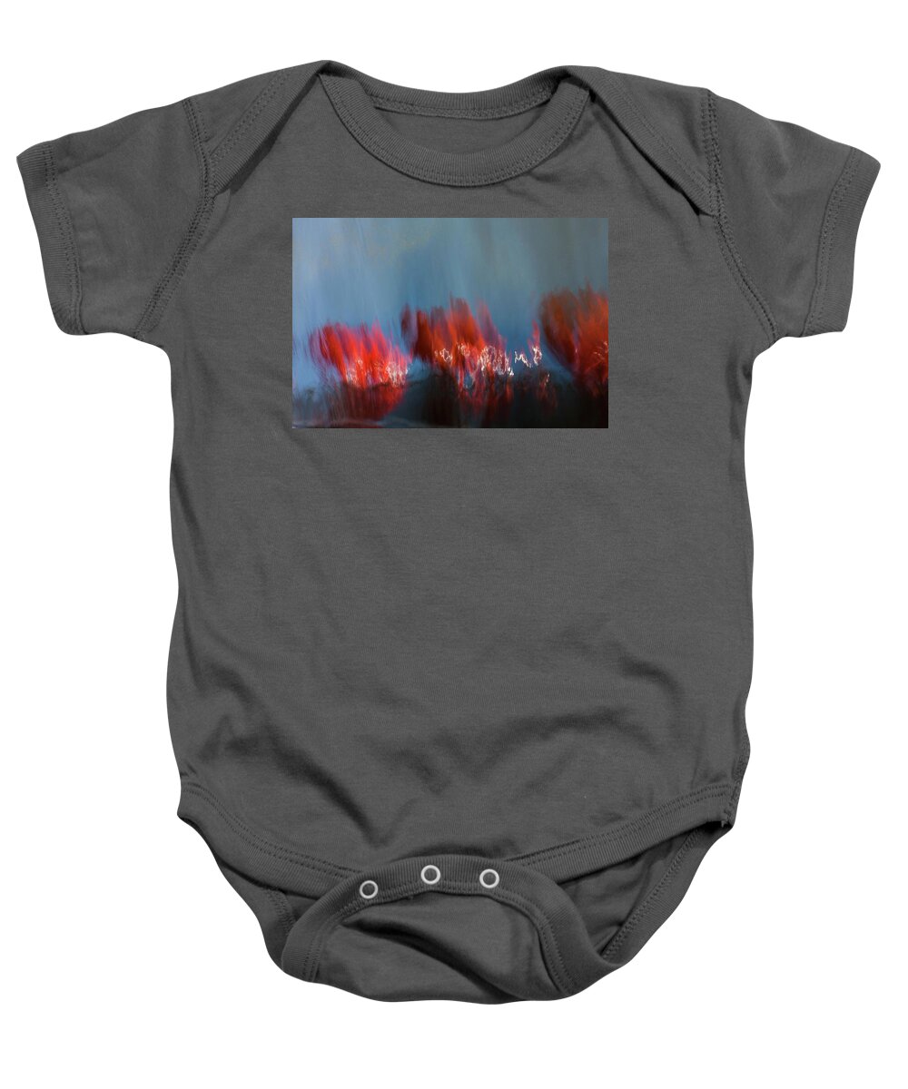  Baby Onesie featuring the photograph Painting fuccia by Mache Del Campo