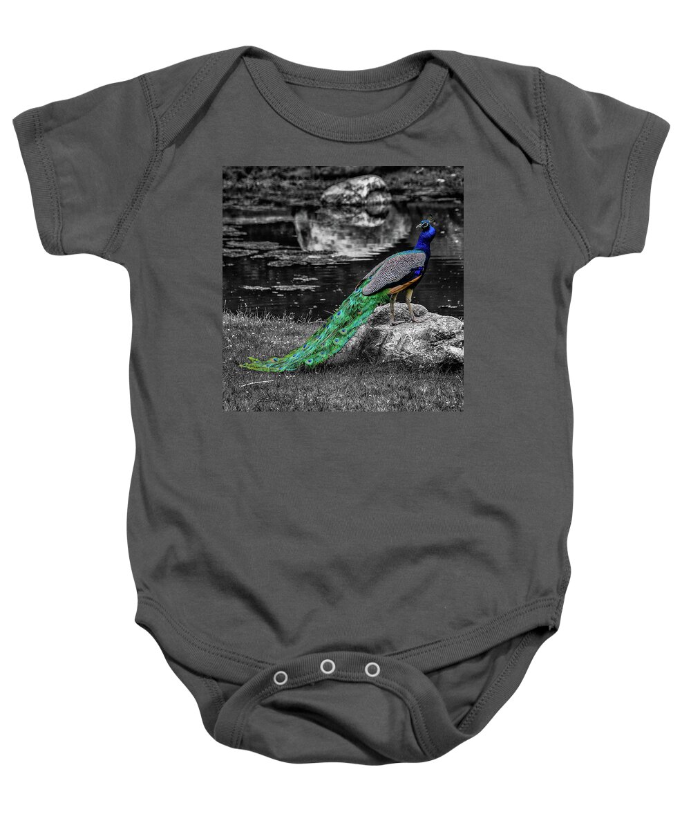 Peacock Baby Onesie featuring the photograph Peacock by Alan Goldberg