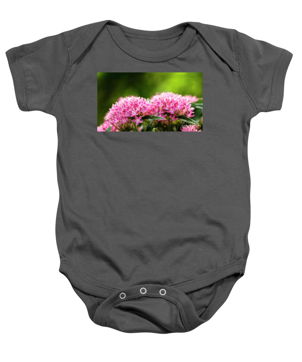 Background Baby Onesie featuring the photograph Pink Pentas Flowers by Raul Rodriguez