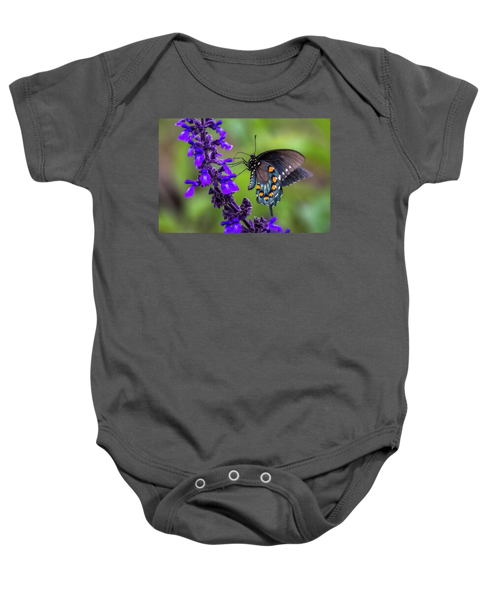 Pipevine Swallowtail Baby Onesie featuring the photograph Pipevine Swallowtail by Debra Martz