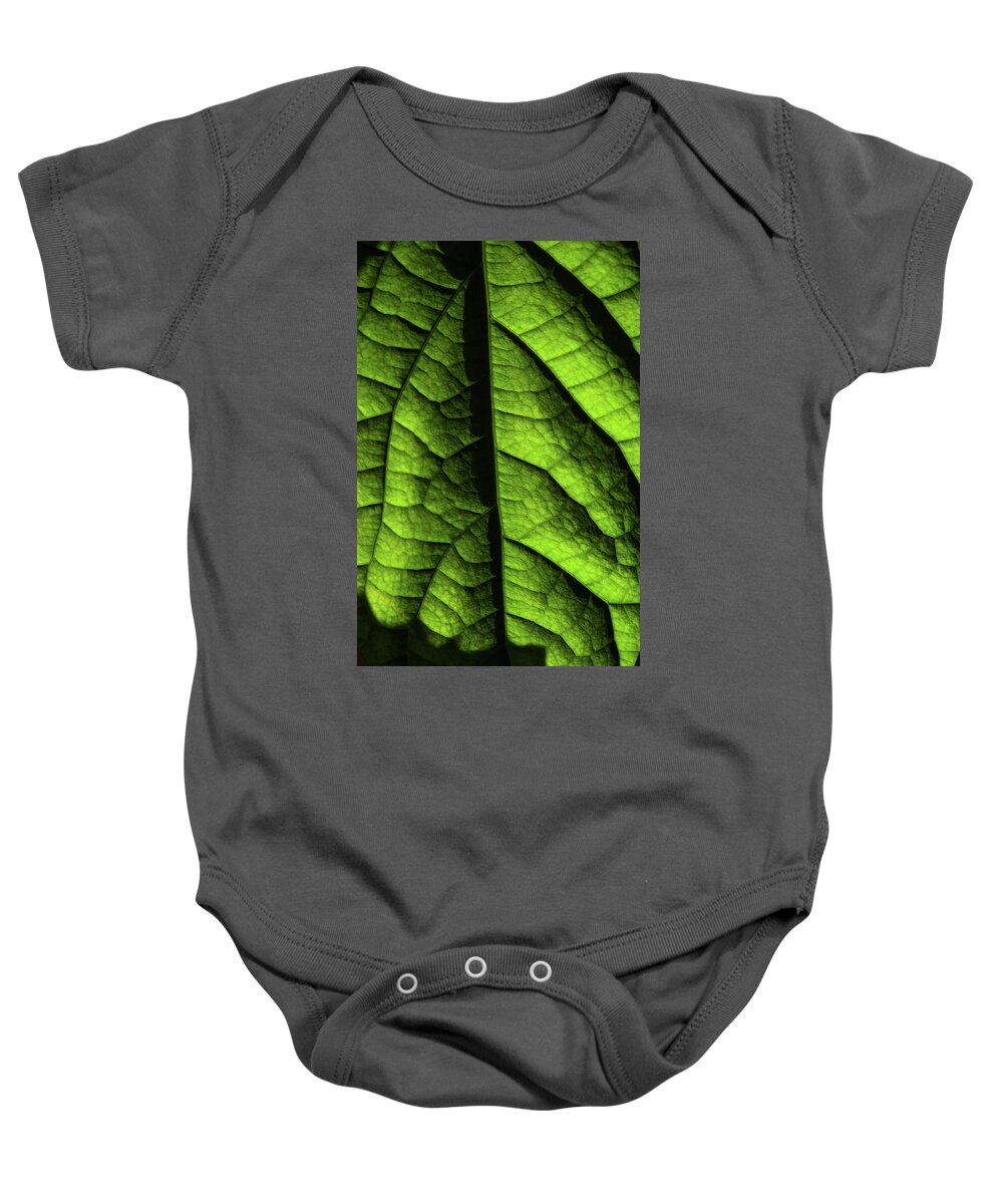 Jenny Rainbow Fine Art Photography Baby Onesie featuring the photograph Play of Light and Shadow. Green Leaf Macro 11 by Jenny Rainbow