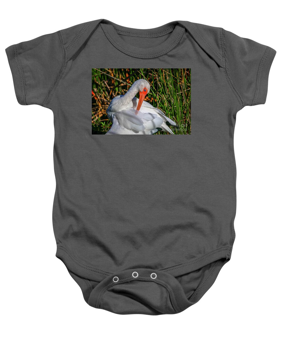 Ibis Baby Onesie featuring the photograph Preening Ibis #2 by Tom Claud