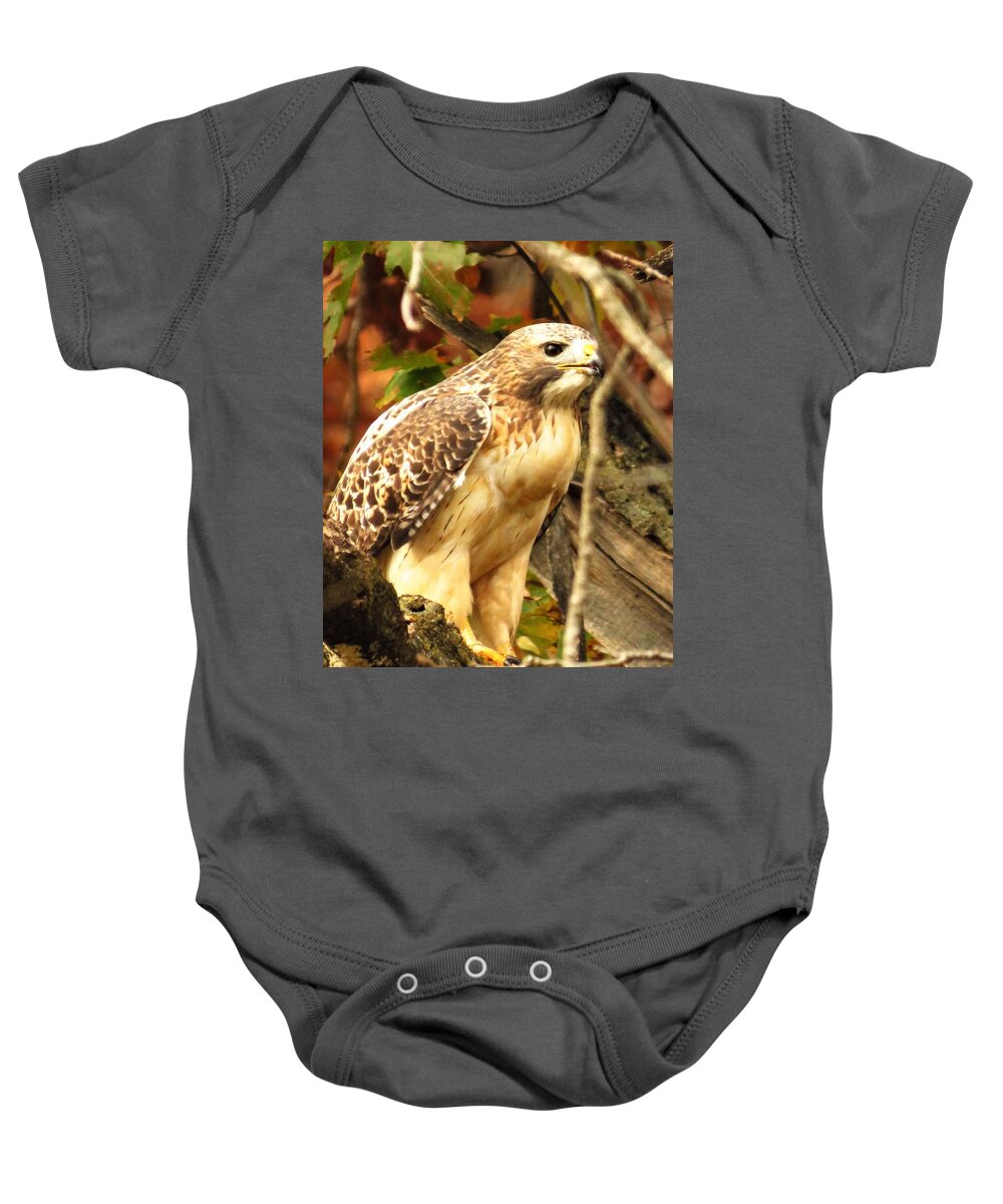 Hawks Baby Onesie featuring the photograph Profile of a Hawk by Lori Frisch