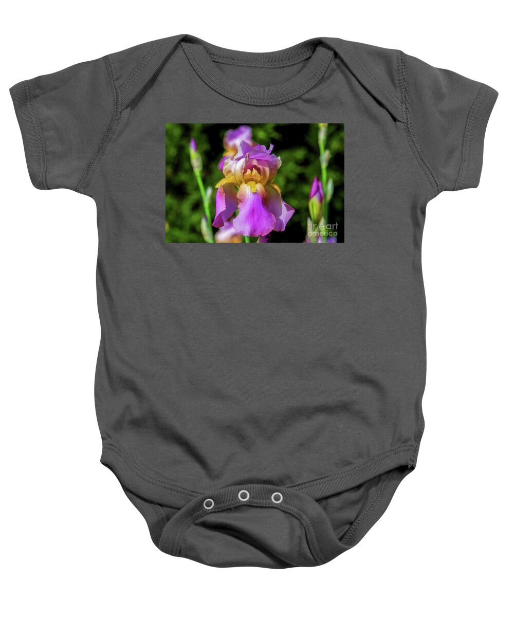 Iris Baby Onesie featuring the digital art Purple and Yellow Iris with Buds by Lisa Lemmons-Powers