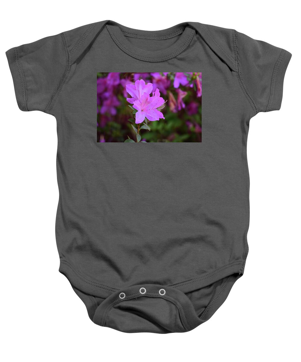 Flowers Baby Onesie featuring the photograph Purple Azaleas in Bloom by Nicole Lloyd