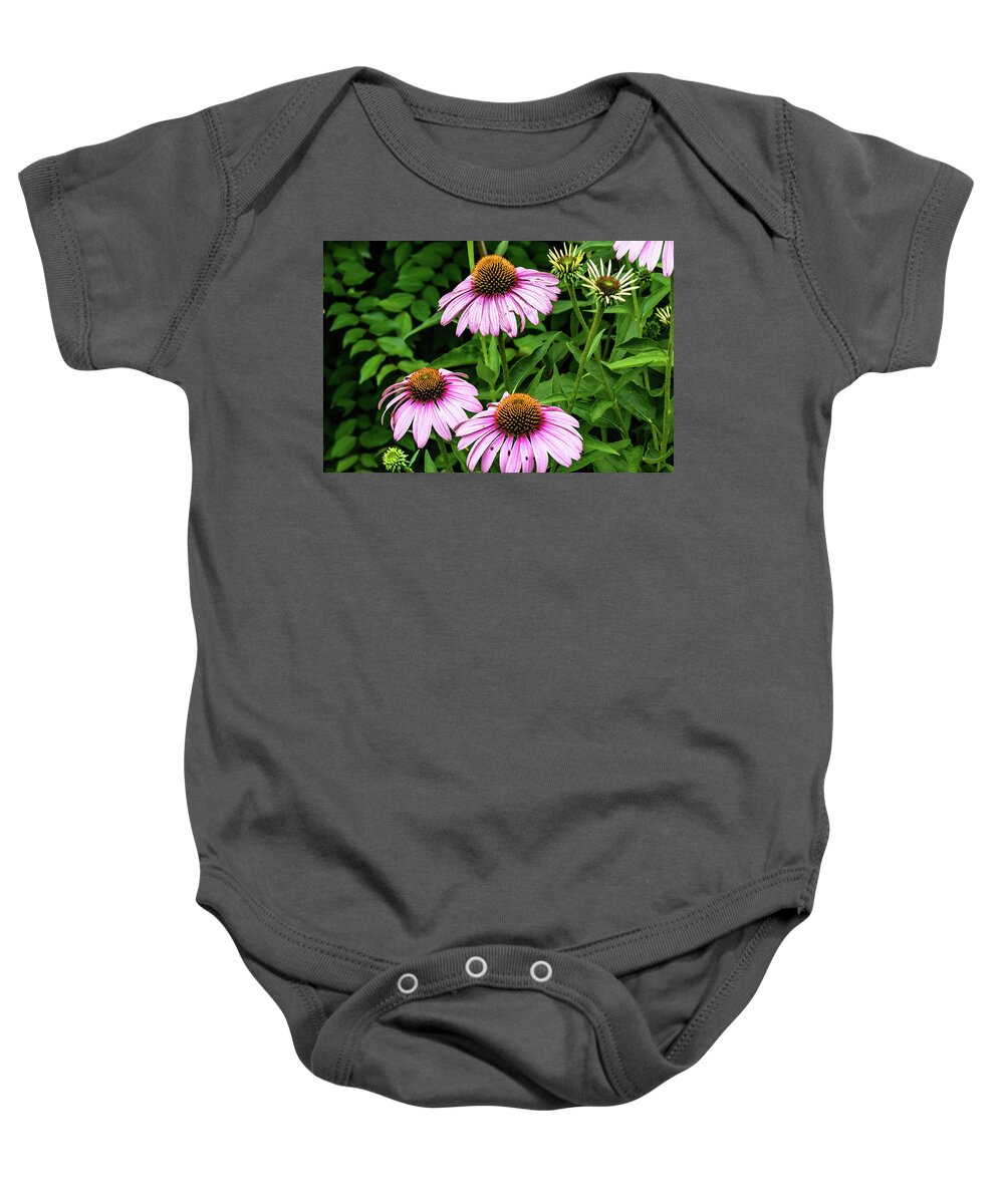 Flower Baby Onesie featuring the digital art Purple Echinacea ConeFlower by Ed Stines