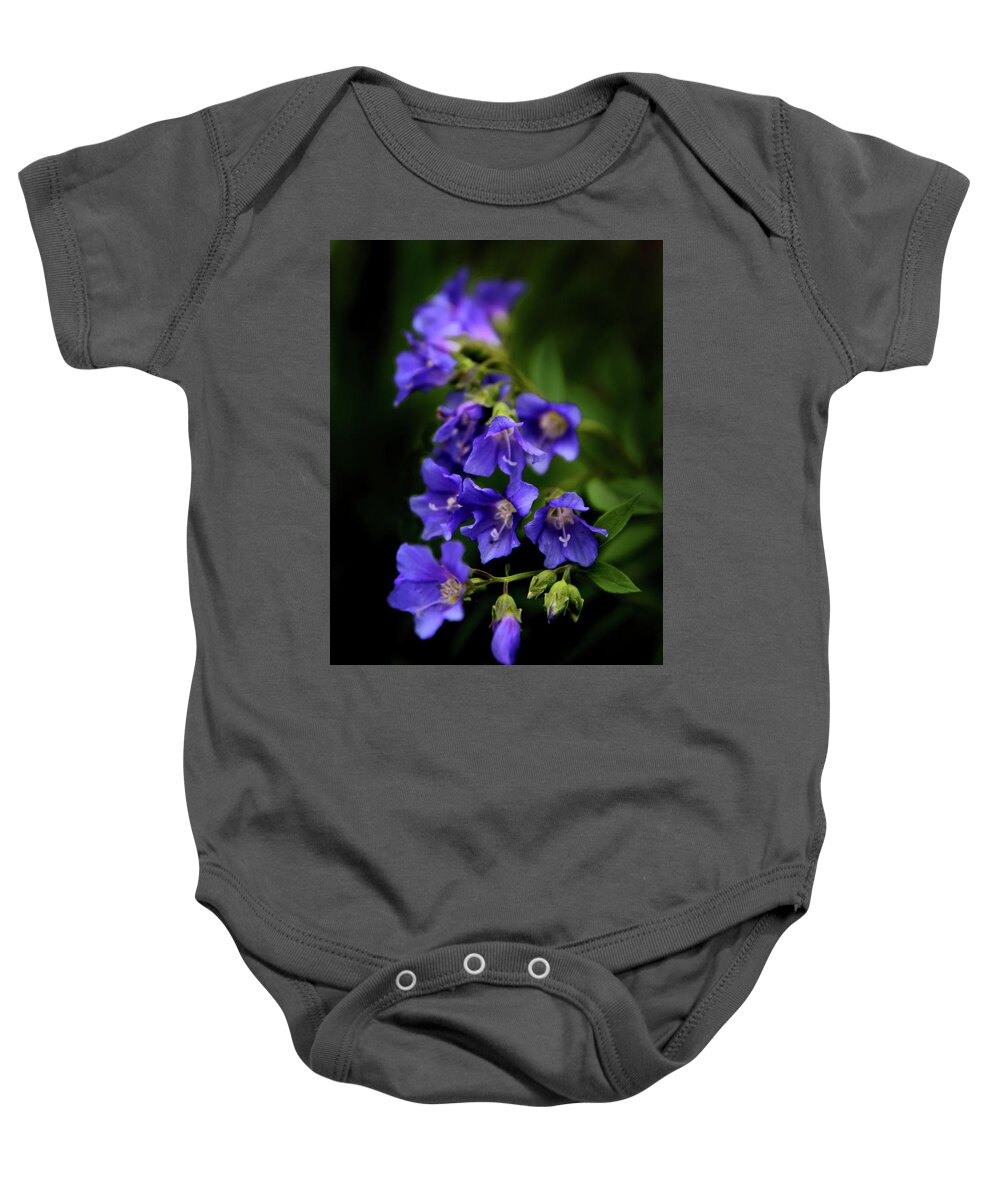Flowers Baby Onesie featuring the photograph Purple Rain by Jessica Jenney