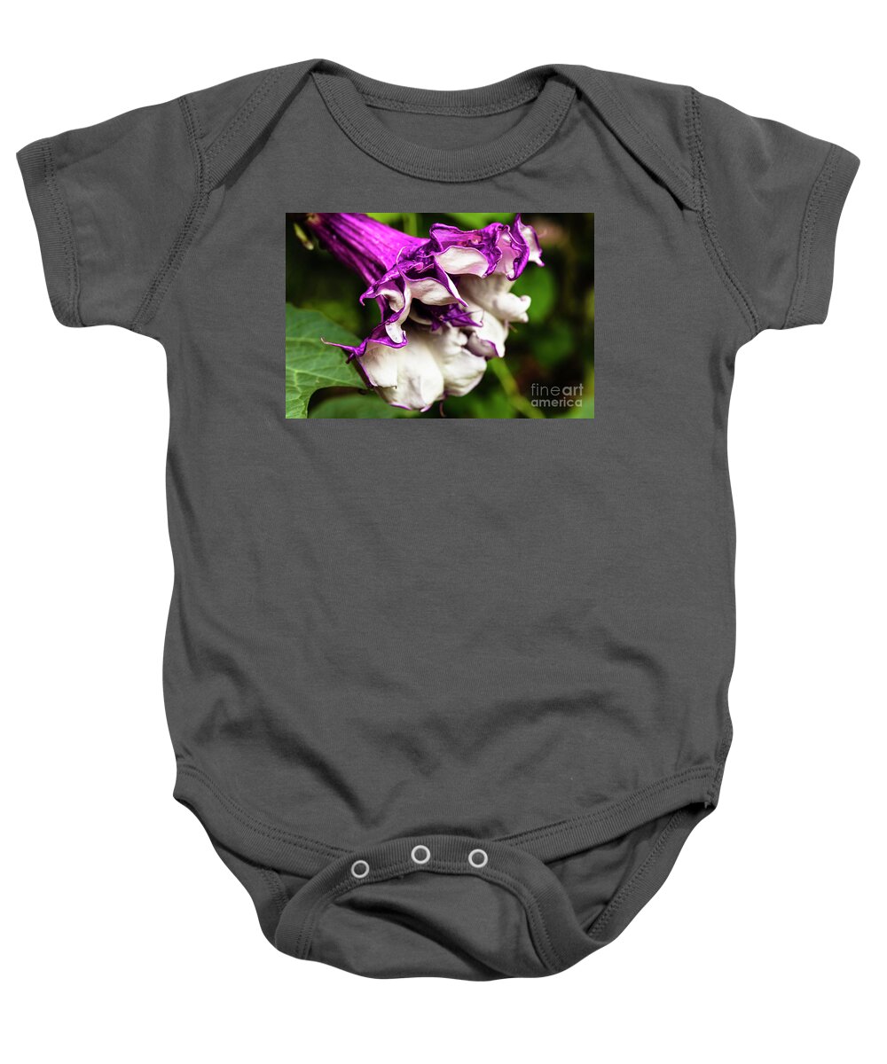 Brugmansia Baby Onesie featuring the photograph Purple Trumpet Flower by Raul Rodriguez