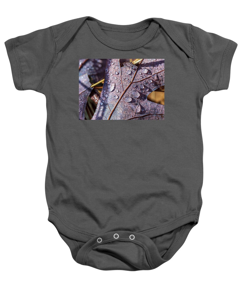 Poconos Baby Onesie featuring the photograph Nature Photography - Fall Leaves by Amelia Pearn