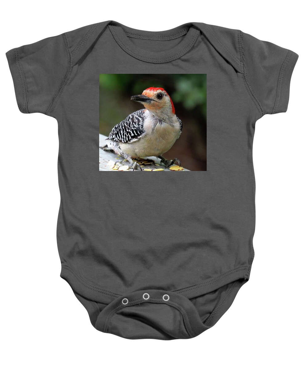 Birds Baby Onesie featuring the photograph Red Bellied Woodpecker Having a Snack by Linda Stern