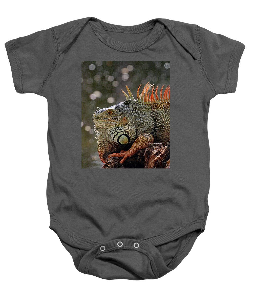 Dec 8 16-1917 Baby Onesie featuring the photograph RED DRAGON - cr by Jennifer Robin