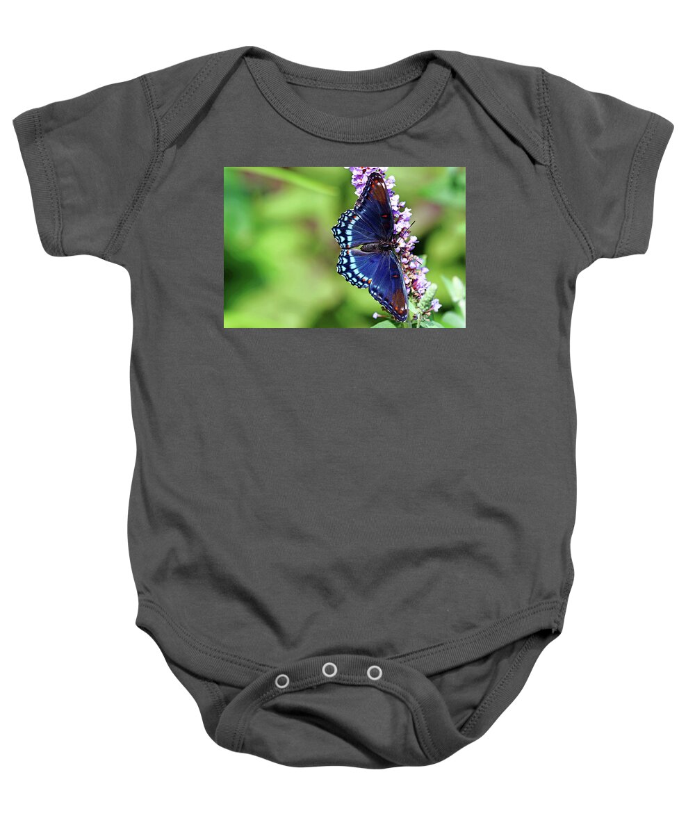 Butterfly Baby Onesie featuring the photograph Red Spotted Purple Beauty by Debbie Oppermann