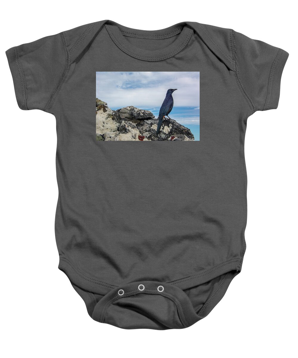 Red Baby Onesie featuring the photograph Red-winged Starling Table Mountain by Douglas Wielfaert