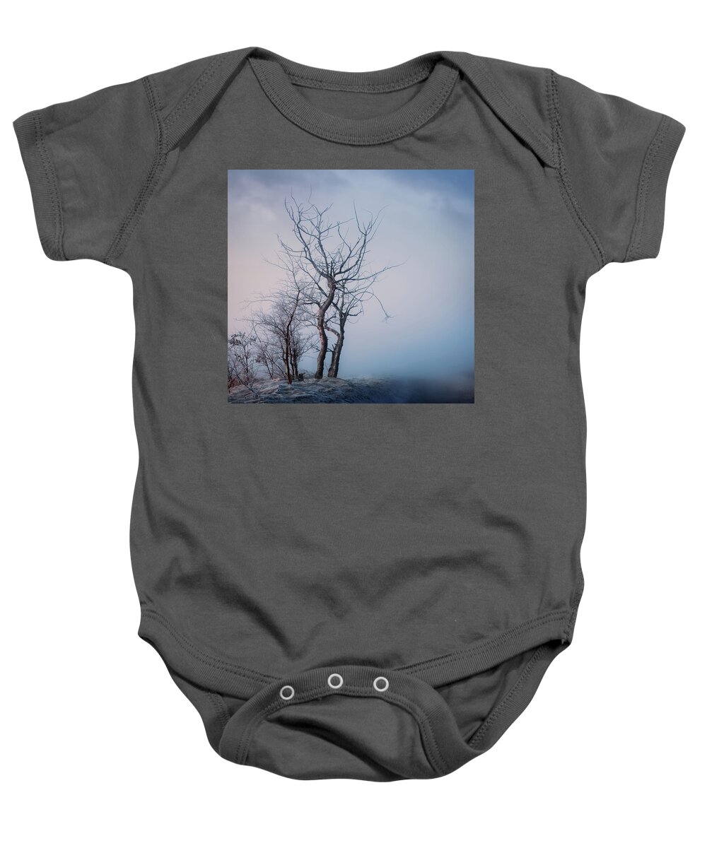 Spring Baby Onesie featuring the photograph Roadside Trees by Dan Jurak