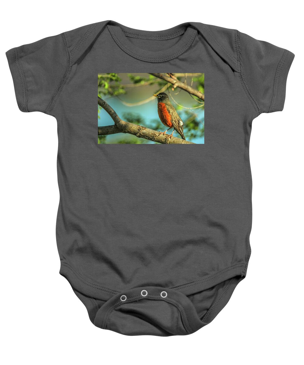20180501 Baby Onesie featuring the photograph Rockin Robin by Jeff at JSJ Photography