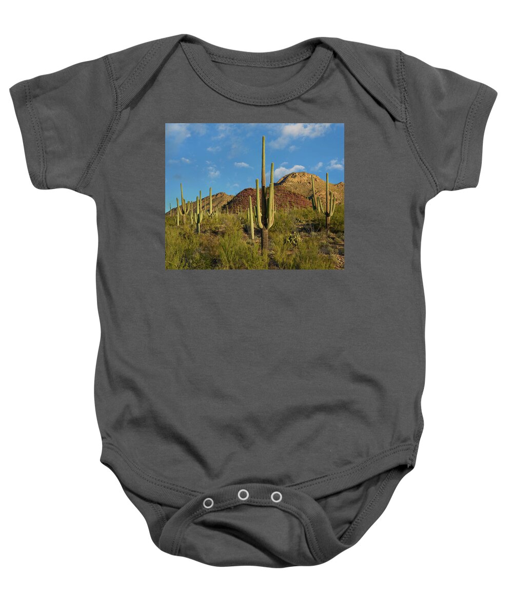 00557654 Baby Onesie featuring the photograph Saguaro, Tucson Mts, Saguaro National Park, Arizona by Tim Fitzharris