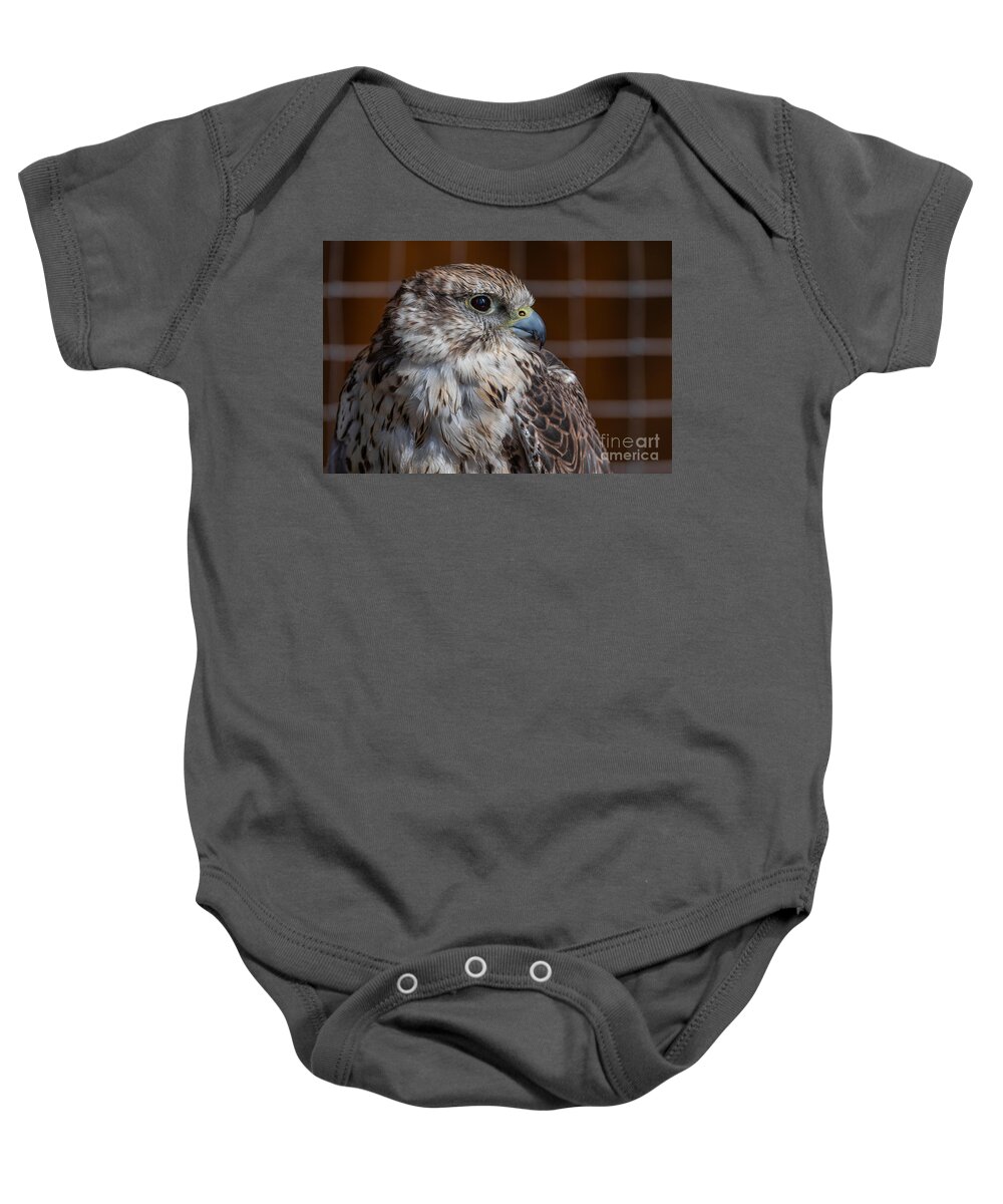 Photography Baby Onesie featuring the photograph Saker Falcon Portrait by Alma Danison
