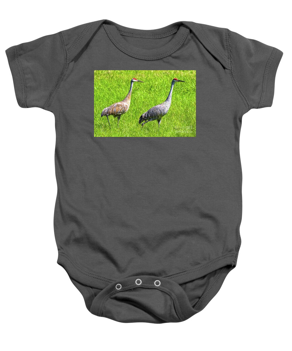 Cranes Baby Onesie featuring the photograph Sandhill Crane Mates by DB Hayes