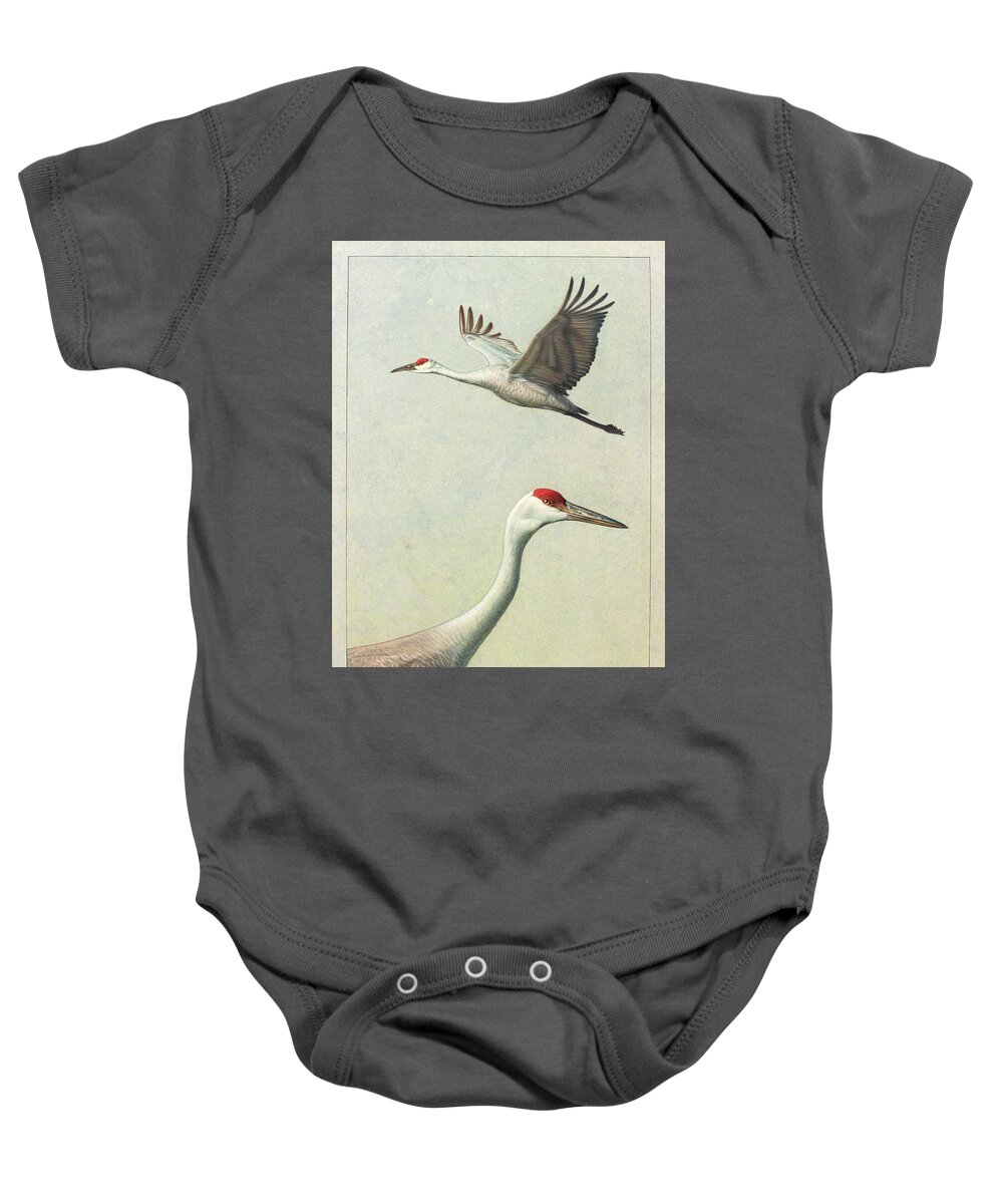 Crane Baby Onesie featuring the painting Sandhill Cranes by James W Johnson