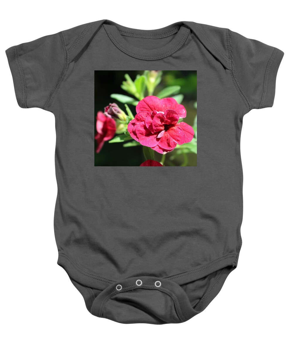 Geranium Baby Onesie featuring the photograph Scarlet Geranium in Cape May by Christopher Lotito