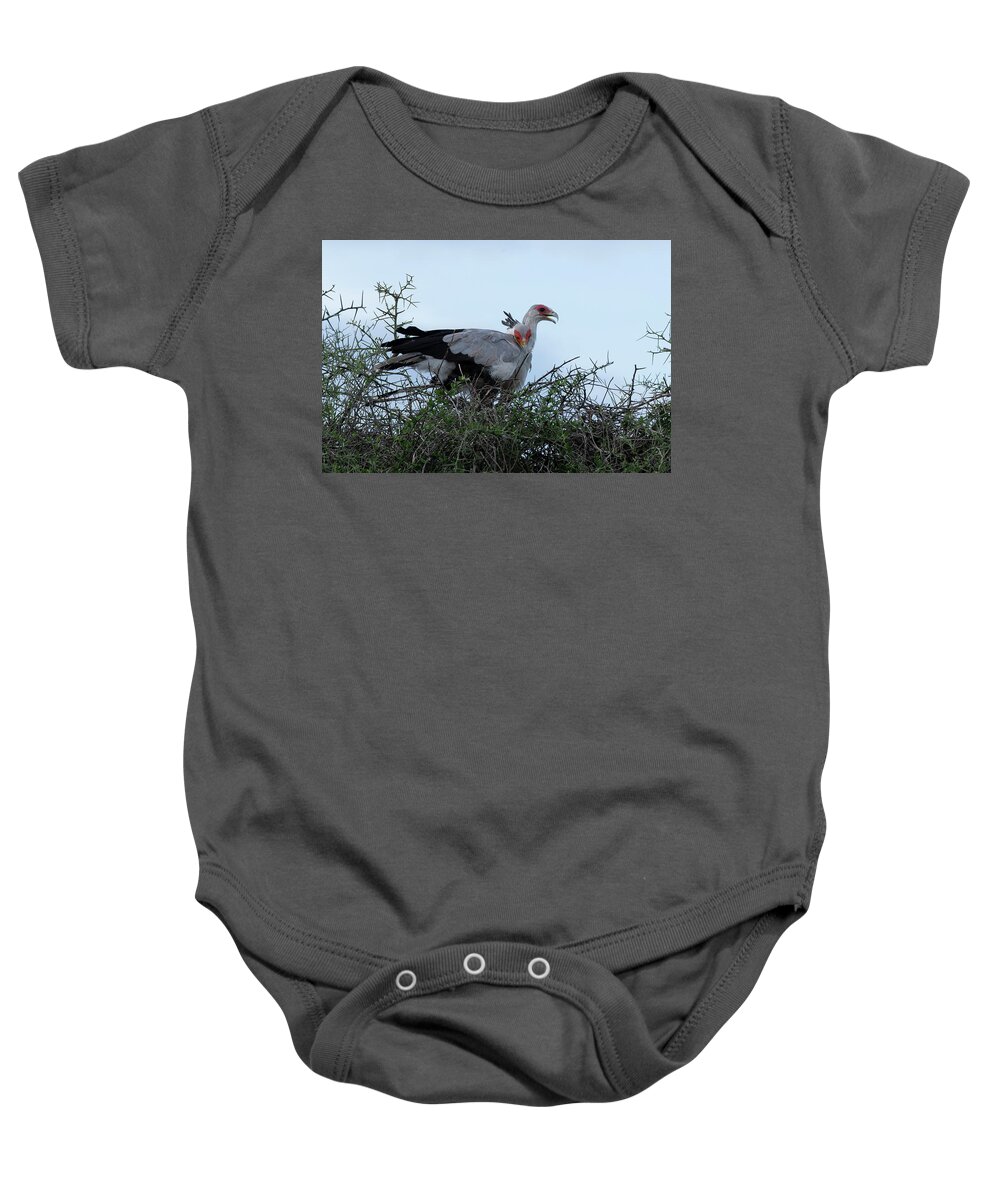 Africa Baby Onesie featuring the photograph Secretary Birds by Patrick Nowotny