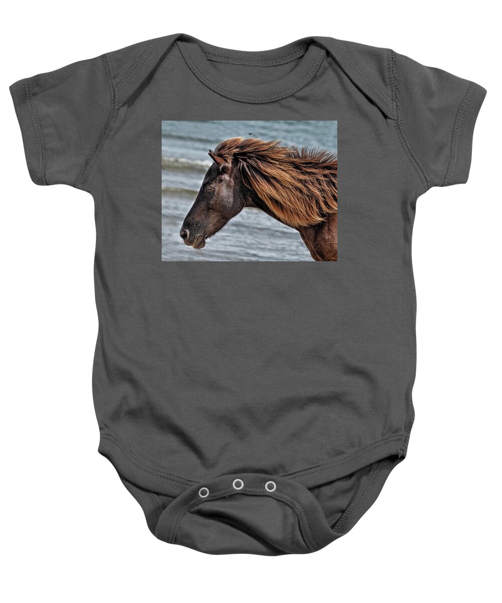 Horse Baby Onesie featuring the photograph Shackleford Stallion by Fon Denton