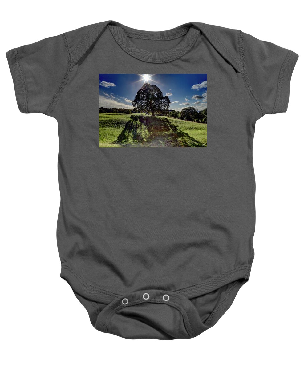 Tree Baby Onesie featuring the photograph Shadow Veil by John Meader
