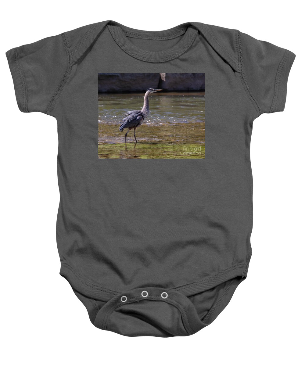 Photography Baby Onesie featuring the photograph Shake it off Blue by Alma Danison