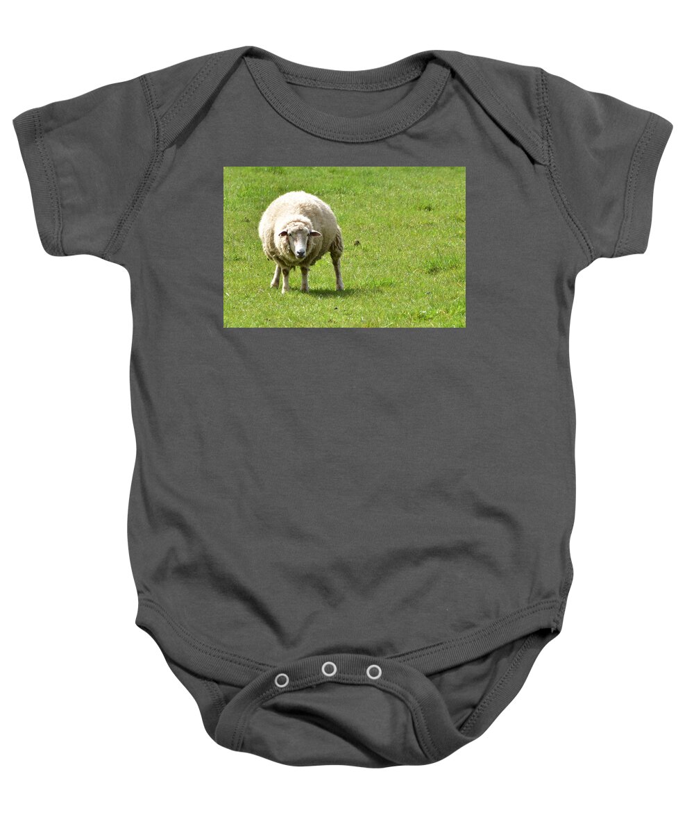 Sheep Baby Onesie featuring the photograph Sheep in New Zealand by Yujun