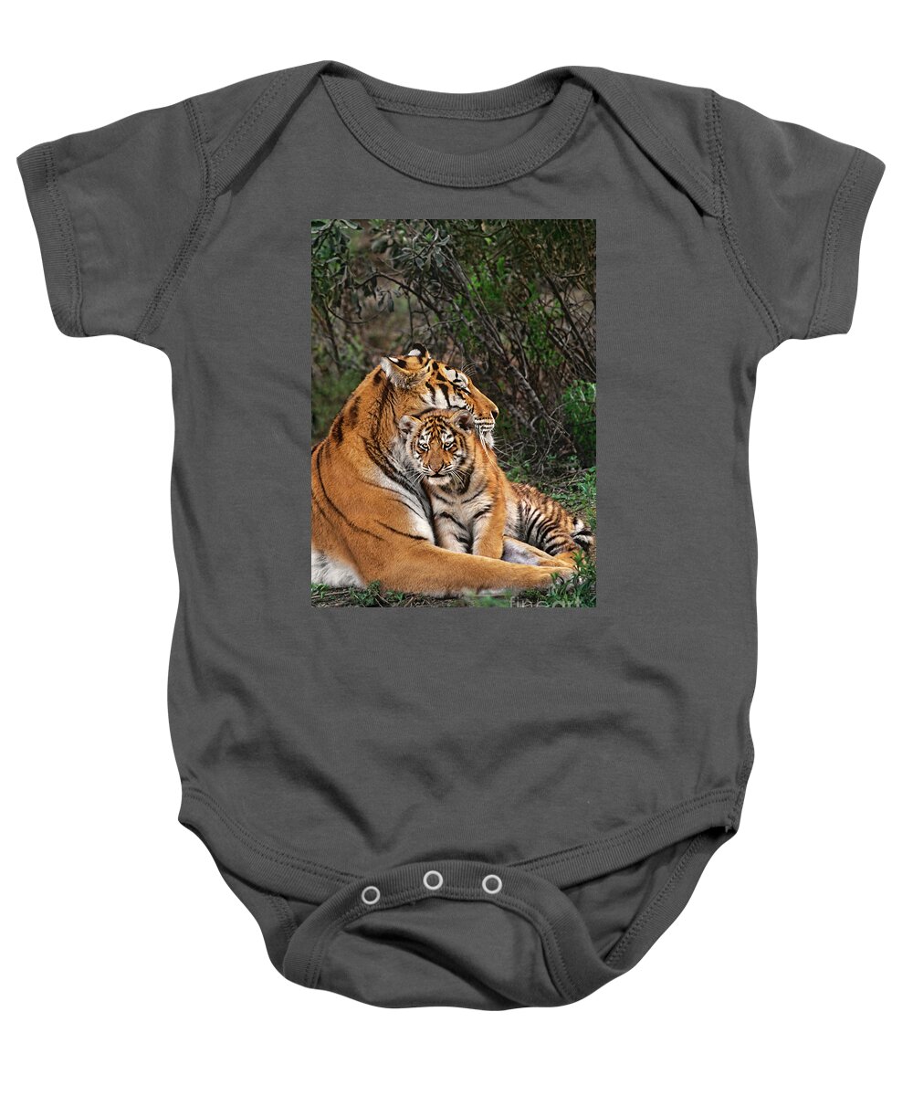 Siberian Tiger Baby Onesie featuring the photograph Siberian Tiger Mother and Cub Endangered Species Wildlife Rescue by Dave Welling