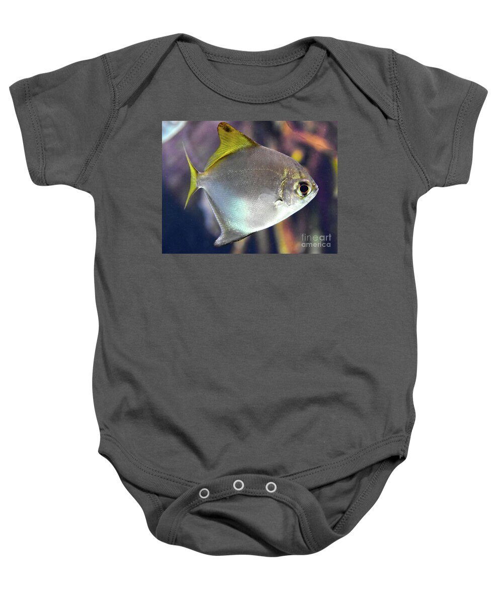 Silver Fish With Yellow Fins Pomacentridea Family Baby Onesie featuring the pyrography Silver fish with yellow Fins Pomacentridea family by Christine Dekkers