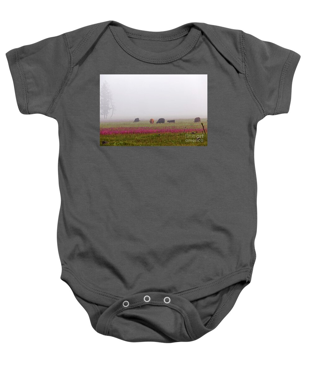 Spring Meadow Baby Onesie featuring the photograph Beef Cattle Grazing Foggy Flower Meadow by Robert C Paulson Jr