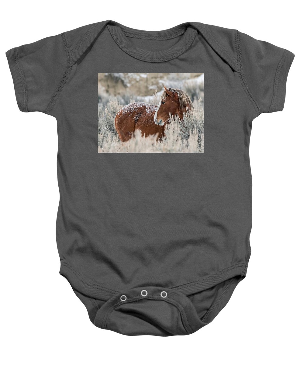 Sand Wash Basin Baby Onesie featuring the photograph Snow Dusted Mustang Stallion by Dawn Key