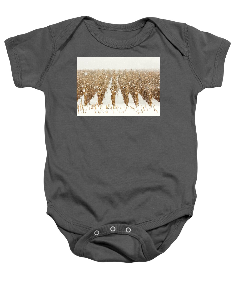 Corn Baby Onesie featuring the photograph Snowy Corn Stalks by Todd Klassy