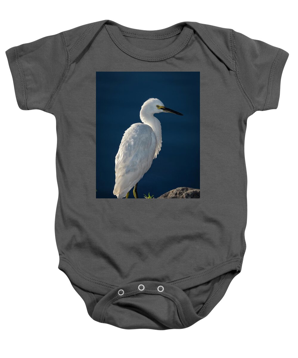 Snowy White Egret Baby Onesie featuring the photograph Snowy White Egret 5 by Rick Mosher