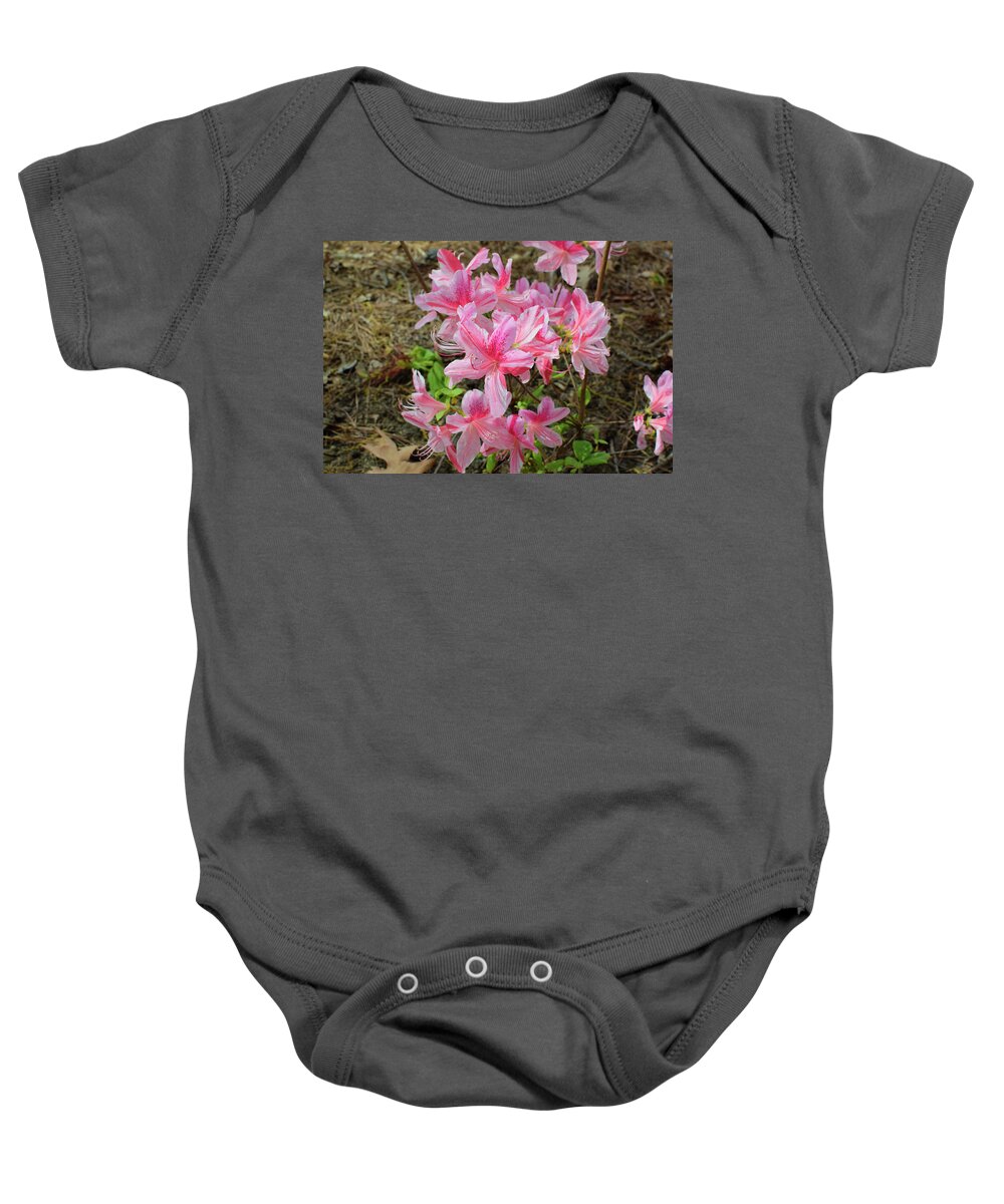 Azalea Baby Onesie featuring the photograph Spring Azaleas in Pink by Nicole Lloyd