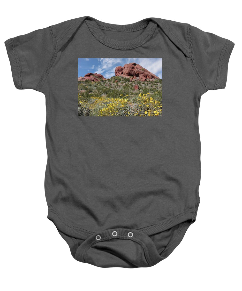 Spring Baby Onesie featuring the photograph Spring Flowers at Papago Park by David T Wilkinson