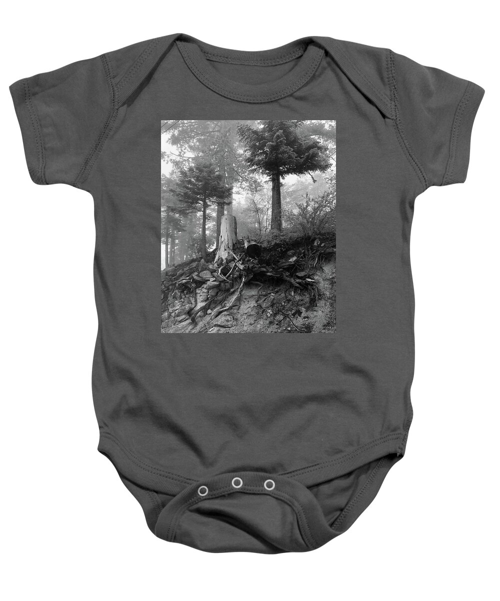 Tree Baby Onesie featuring the photograph Still standing by Jeremy McKay