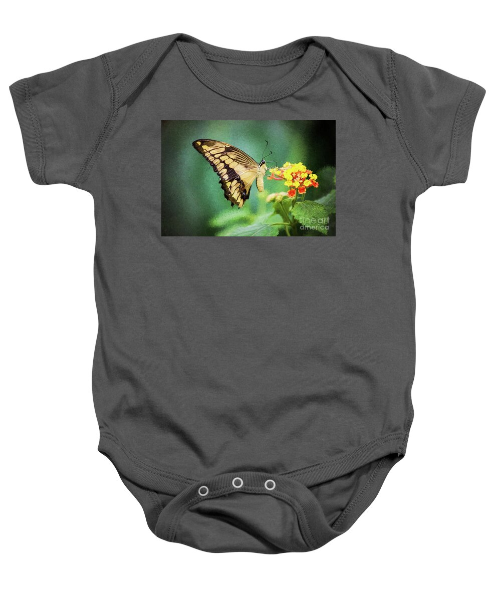 Nature Baby Onesie featuring the photograph Swallowtail Butterfly by Sharon McConnell