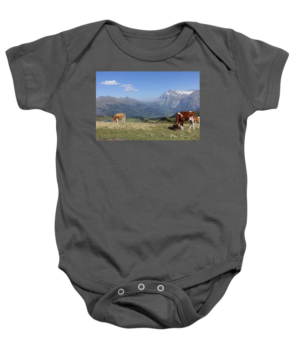 Switzerland Baby Onesie featuring the photograph Swiss Cows Grazing by Patricia Caron